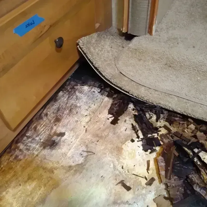 Best Wood Floor Water Damage Service in West Longview, WA